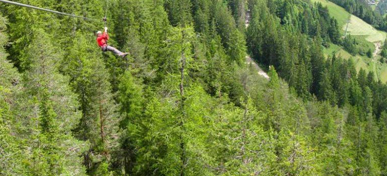 Forest Zip-Lines & Canopy Walks: High-Altitude Jungle Adventures in India