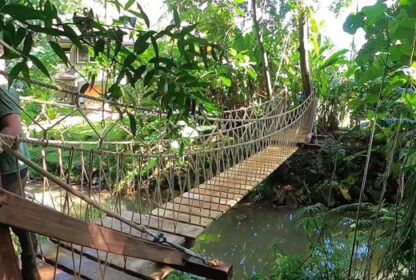 Jungle Rope Bridge Challenges: Test Your Balance Above the Forest Floor