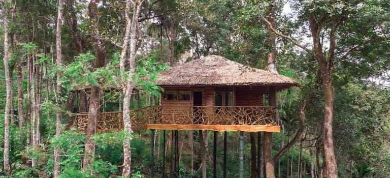 Treetop Camping in India: Sleep Among the Forest Canopies